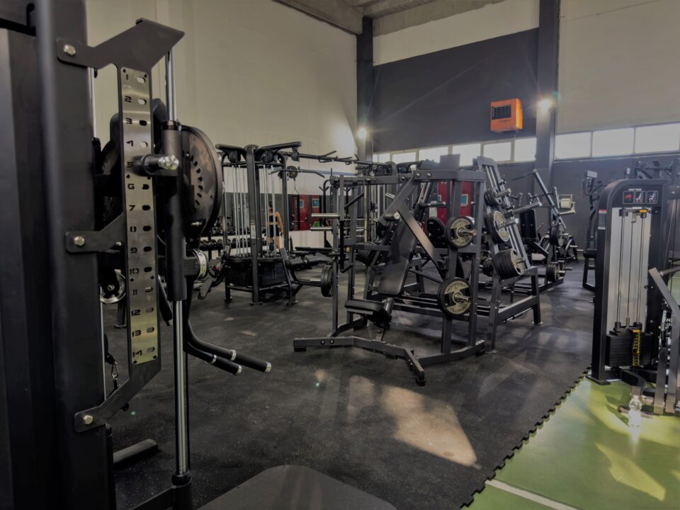 Macchinari per la muscolazione nella palestra Alpha Elite