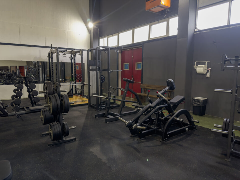 Zona pesi liberi di Alpha Elite Fitness Club